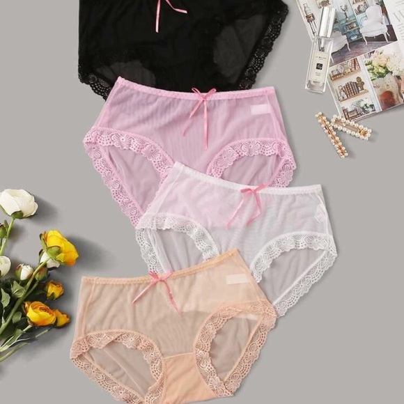 BRAND NEW Sz L LINGERIE 4pack Lace Trim Sheer Panty Set Sexy Hip Brief - Picture 4 of 8